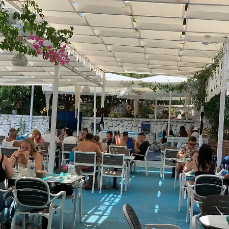 Majki * Saranda